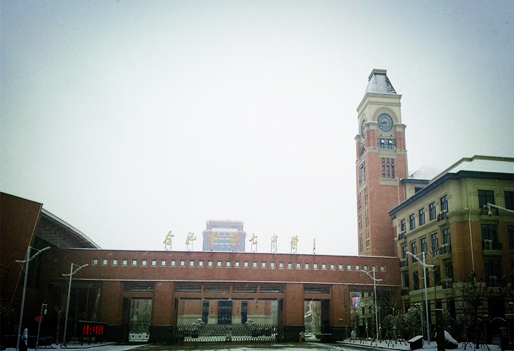 踏雪少年 • 校园追梦(图1)