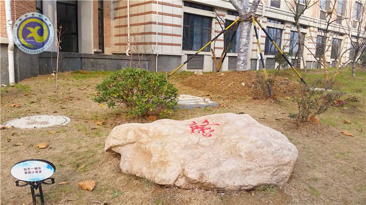 雪园“石头记”,最美是气质(图5)