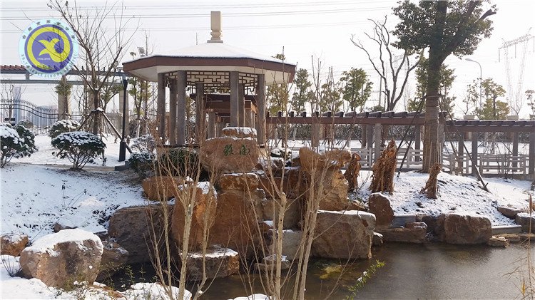 雪园“石头记”,最美是气质(图8)