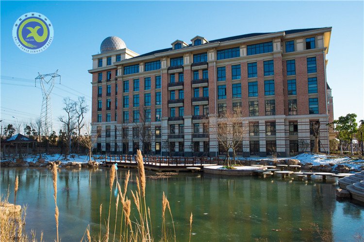 雪园“石头记”,最美是气质(图9)