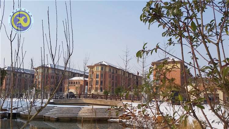 雪园“石头记”,最美是气质(图10)