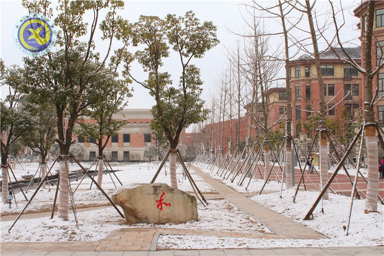 雪园“石头记”,最美是气质(图11)