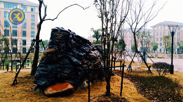 雪园“石头记”,最美是气质(图12)