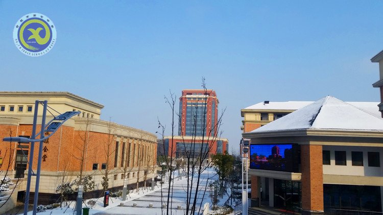 雪园“石头记”,最美是气质(图13)