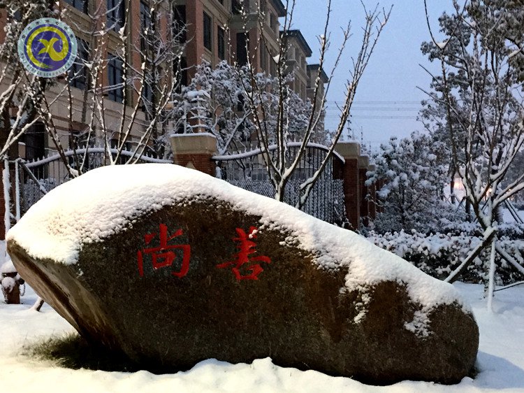 雪园“石头记”,最美是气质(图3)