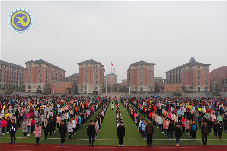 与时俱进抓创建 文明之花香满园(图10)