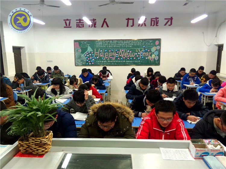 与时俱进抓创建 文明之花香满园(图13)