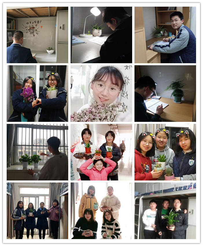 生活部:我和春天有一个“约会”(图3)