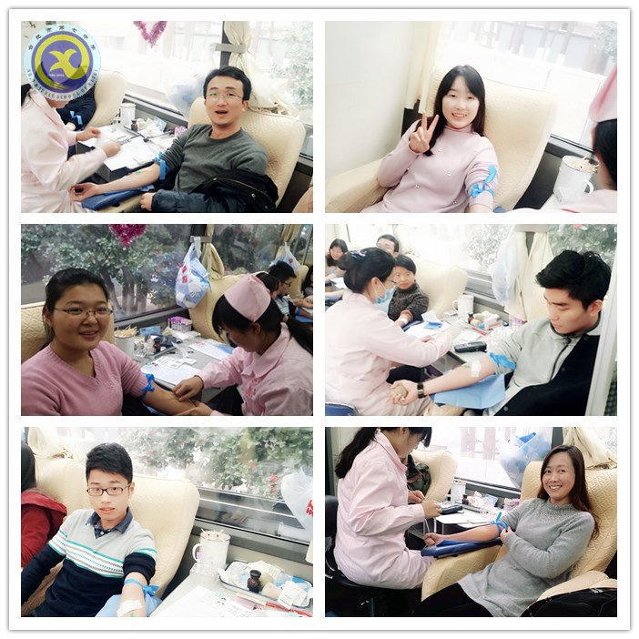 合肥七中:献血有量,爱心无价(图3)