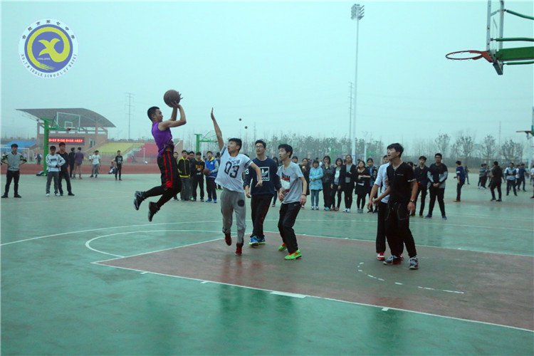 举手投足传递你我信任 奋力拼搏彰显合七精神(图1)