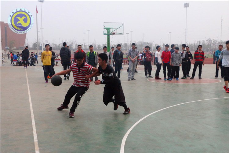 举手投足传递你我信任 奋力拼搏彰显合七精神(图2)