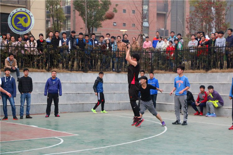 举手投足传递你我信任 奋力拼搏彰显合七精神(图3)