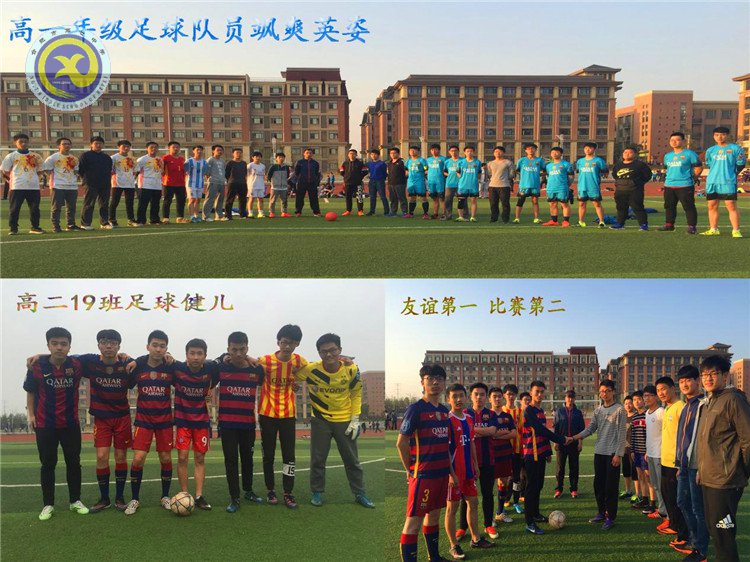 活力青春 绽放绿茵(图1)