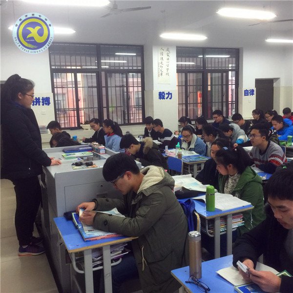 活力与效率共抓 书声在班班飘荡(图1)