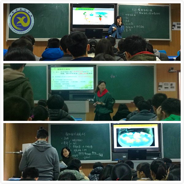 别样的节日 幸福的收获(图2)