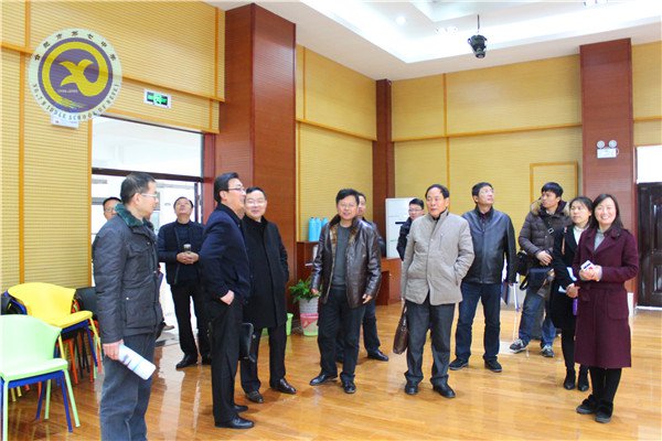 春来百花开,花香蝶自来(图5)