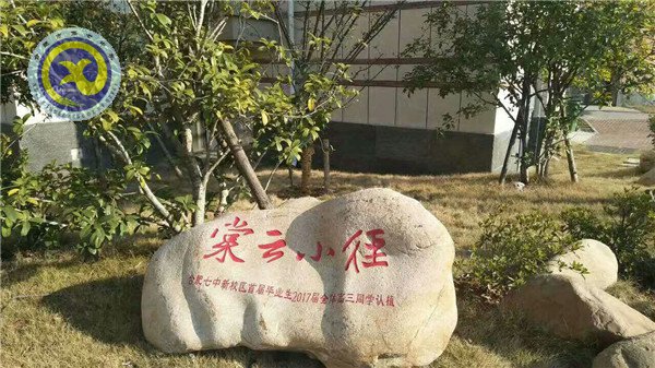 植一片海棠  留年年花香(图6)