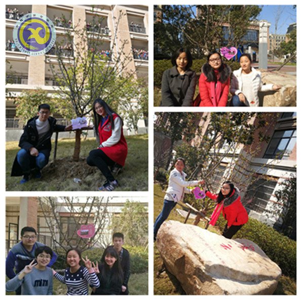 植一片海棠  留年年花香(图3)