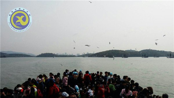 灵山宝相佛参雨  太湖鼋头樱下晴(图2)