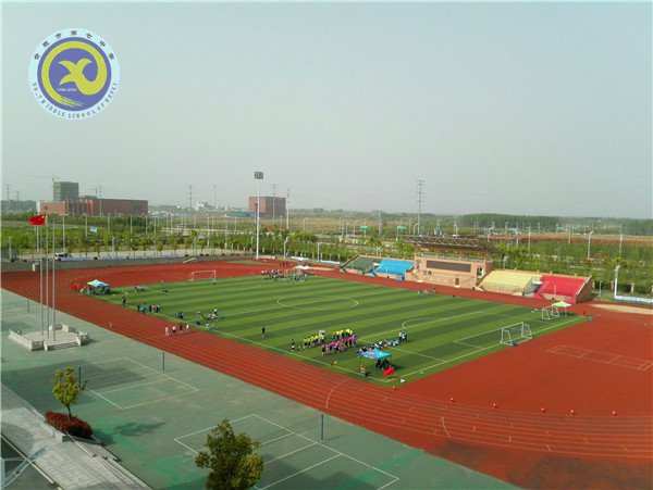 首战已告捷，来日更可期(图8)