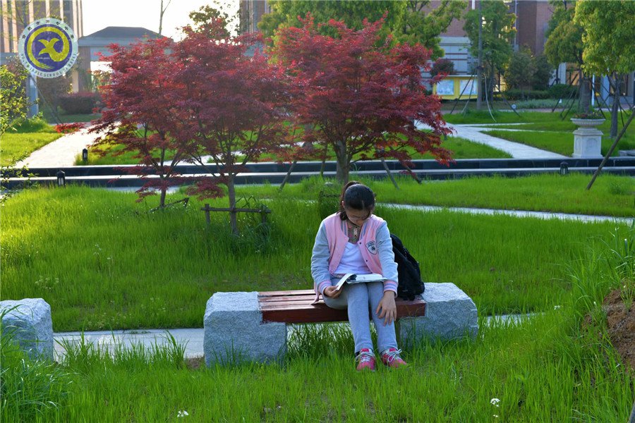 《合肥晚报》:带着信心出发 直奔成功彼岸(图4)