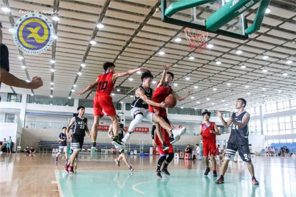 青春因篮球而精彩,生命因体育而辉煌(图7)