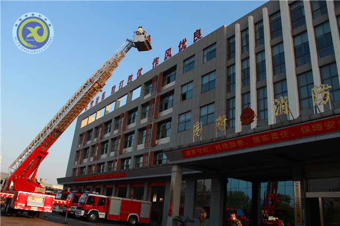 军民鱼水情,欢乐庆佳节(图5)