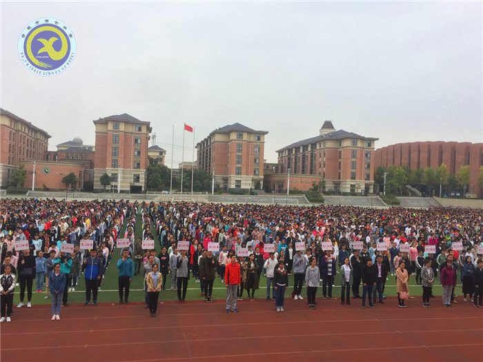 新时代下的青年使命(图4)