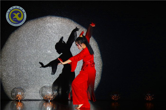 合肥七中第二十二届科技文化艺术节圆满闭幕(图22)