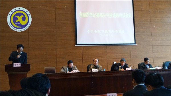 2017年党建工作汇总(图10)