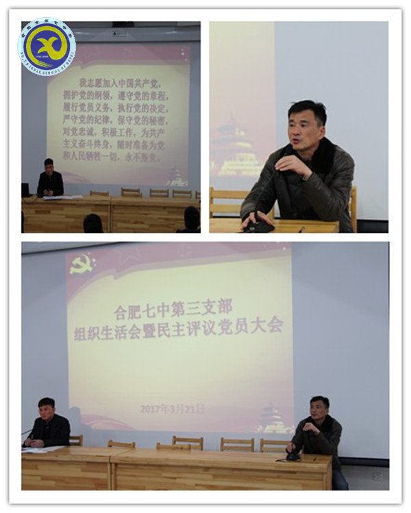 2017年党建工作汇总(图12)