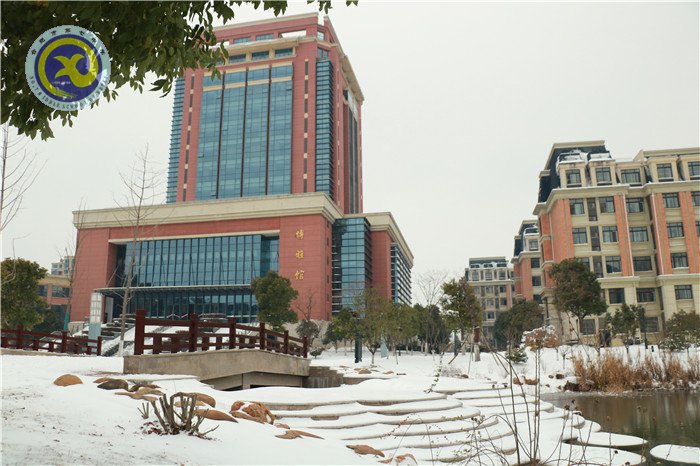 除雪清路暖人心  冰雪天气见真情(图1)