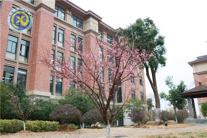 春暖花开迎开学，统筹各方新起航(图9)