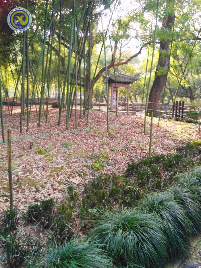 赏流觞曲水,  品魏晋风度(图3)