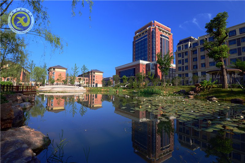 合肥七中生态园——宁静湖(图1)