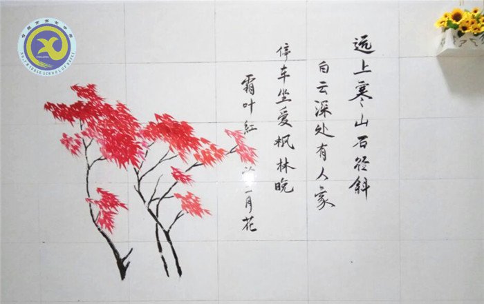 最美范老师(图4)