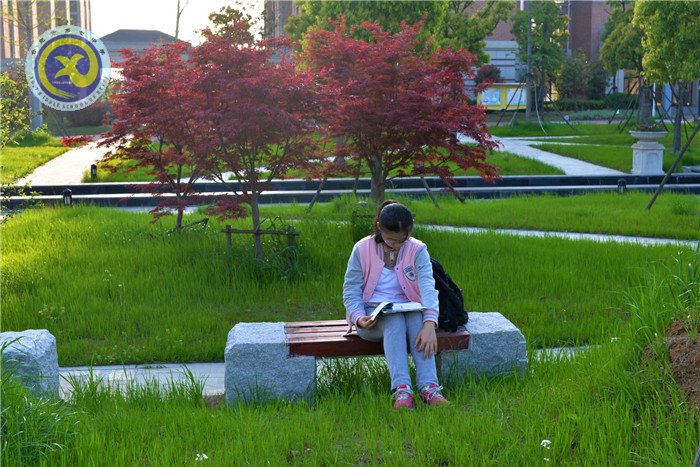 新安晚报:从课堂走向课程从课程走向全面育人(图2)