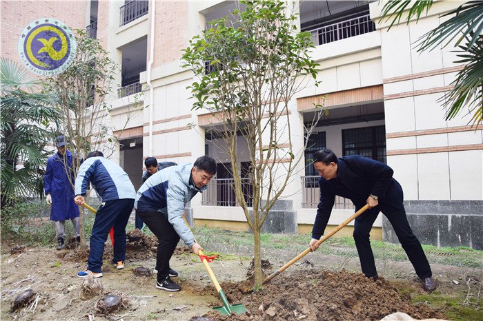 一棵两棵三棵,棵棵皆成栋梁材(图4)