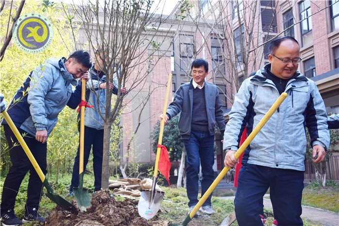 一棵两棵三棵,棵棵皆成栋梁材(图5)