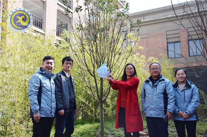 一棵两棵三棵,棵棵皆成栋梁材(图8)