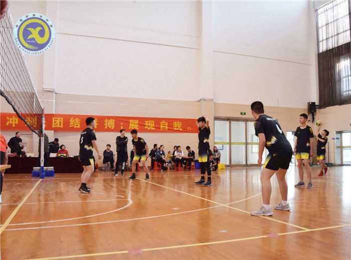 合肥七中在市排球比赛中获得佳绩(图4)