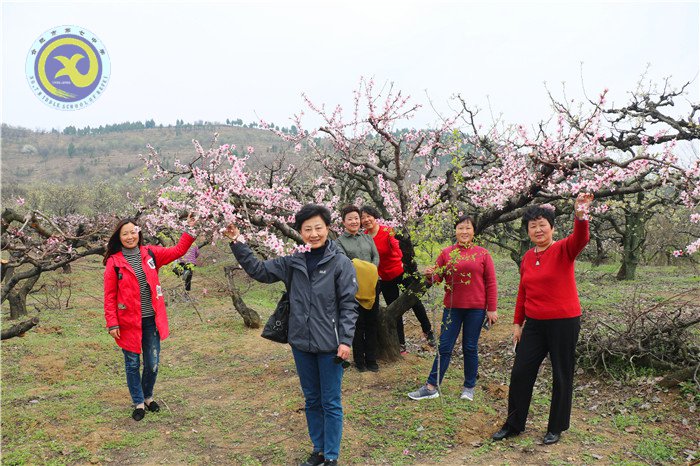 绿柳含烟日，踏青正当时(图7)