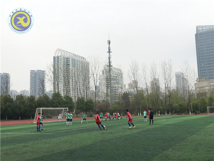 合肥七中在市足球比赛中获得佳绩(图5)