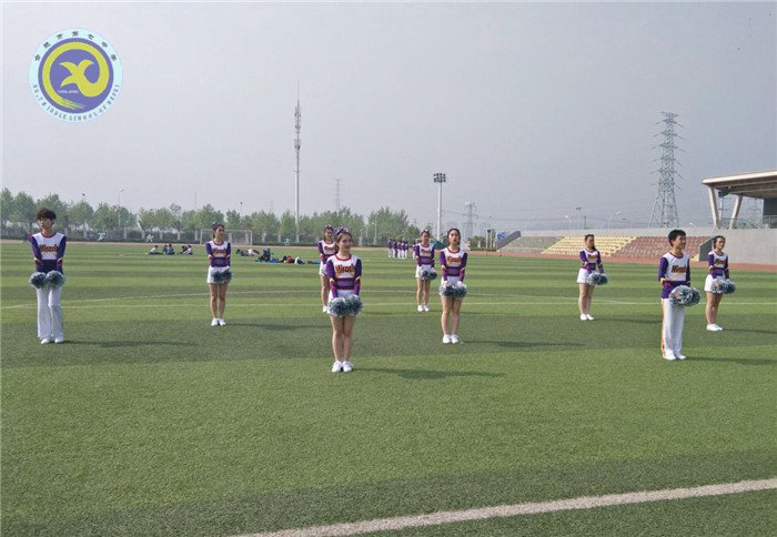 合肥七中在市啦啦操比赛中获得佳绩(图3)