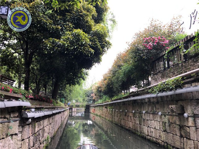 研学诗画江南  笃志求真力行(图4)