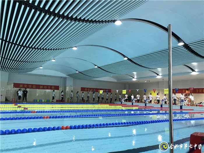 水上竞技,激情“泳”动(图2)