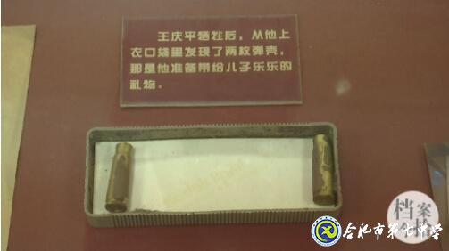 合肥教育法制频道:爱在无私中永恒——追忆王庆平烈士(图19)