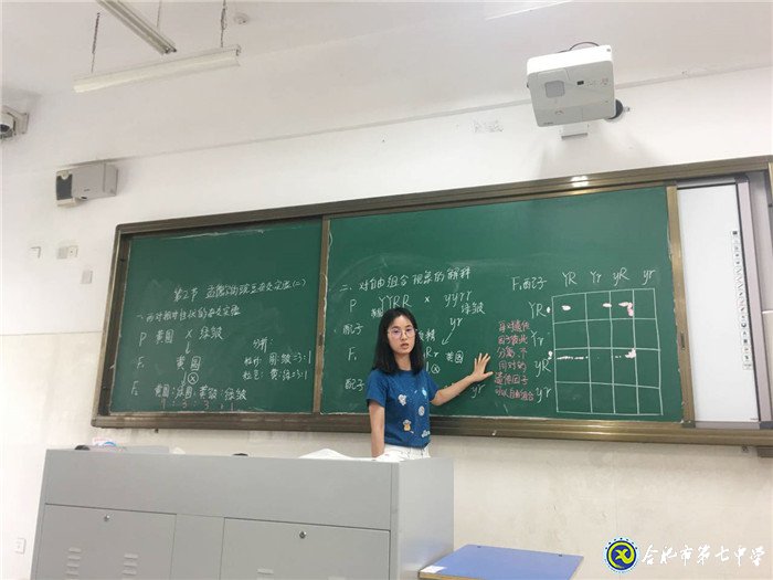 独木不成林,集体有力量(图4)