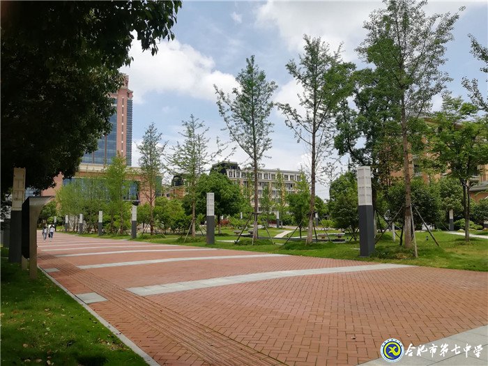 6月20日实习手记:念教育之心,拥教师之光(图6)