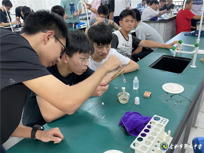 动手动脑 体验科学实验之美(图1)